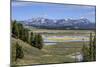 Hayden Valley (YNP)-Galloimages Online-Mounted Photographic Print