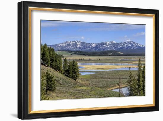 Hayden Valley (YNP)-Galloimages Online-Framed Photographic Print