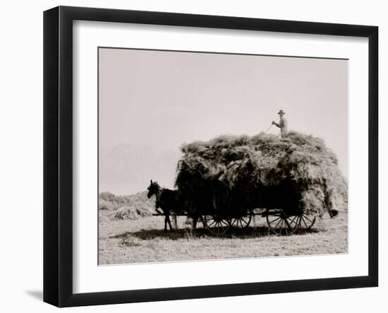 Photo, , large