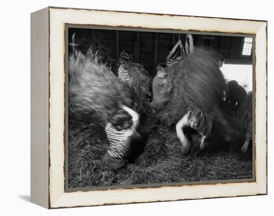 Hayloft Party, a Hay Fight Begins with a Surprise Onslaught Against the Girls-Alfred Eisenstaedt-Framed Premier Image Canvas