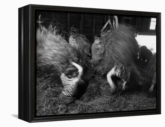 Hayloft Party, a Hay Fight Begins with a Surprise Onslaught Against the Girls-Alfred Eisenstaedt-Framed Premier Image Canvas