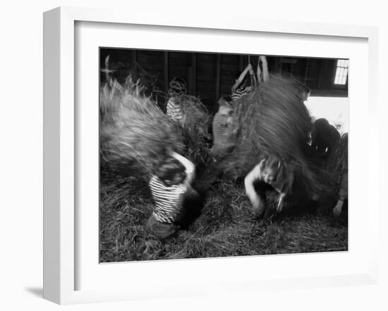 Hayloft Party, a Hay Fight Begins with a Surprise Onslaught Against the Girls-Alfred Eisenstaedt-Framed Photographic Print