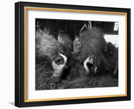 Hayloft Party, a Hay Fight Begins with a Surprise Onslaught Against the Girls-Alfred Eisenstaedt-Framed Photographic Print