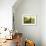 Haymaking; Fenaison-Julien Dupre-Framed Giclee Print displayed on a wall