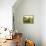 Haymaking; Fenaison-Julien Dupre-Framed Premier Image Canvas displayed on a wall