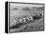 Hayride for Mansfield, Ohio, Senior High School Graduating Class-Alfred Eisenstaedt-Framed Premier Image Canvas