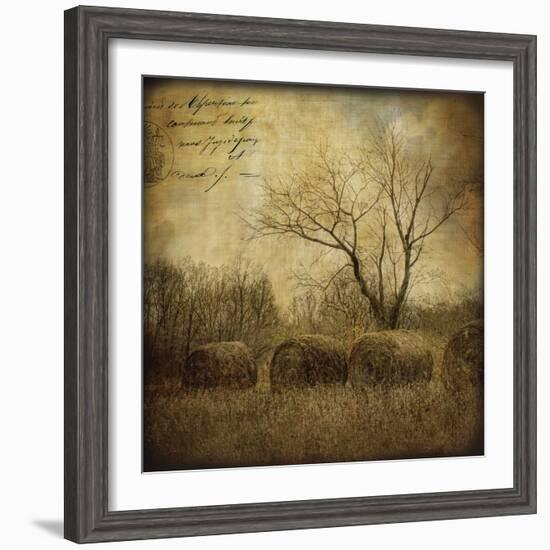 Hayrollers-Dawne Polis-Framed Art Print