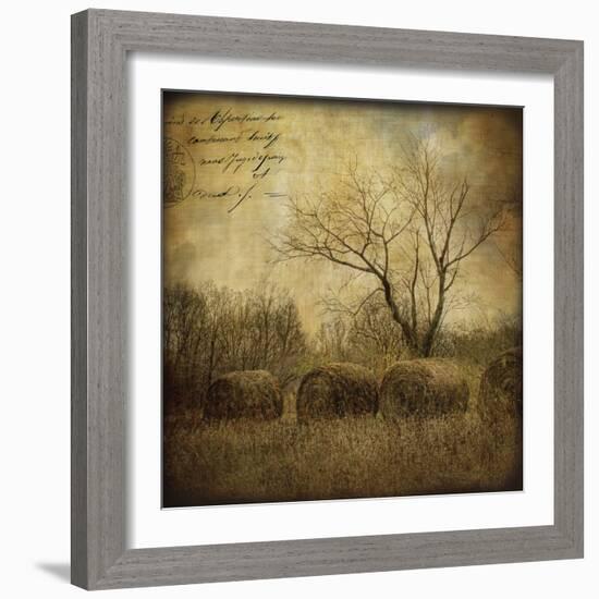 Hayrollers-Dawne Polis-Framed Art Print