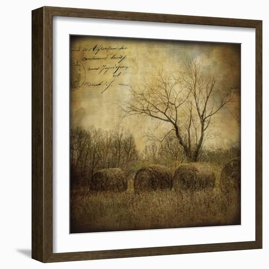 Hayrollers-Dawne Polis-Framed Art Print