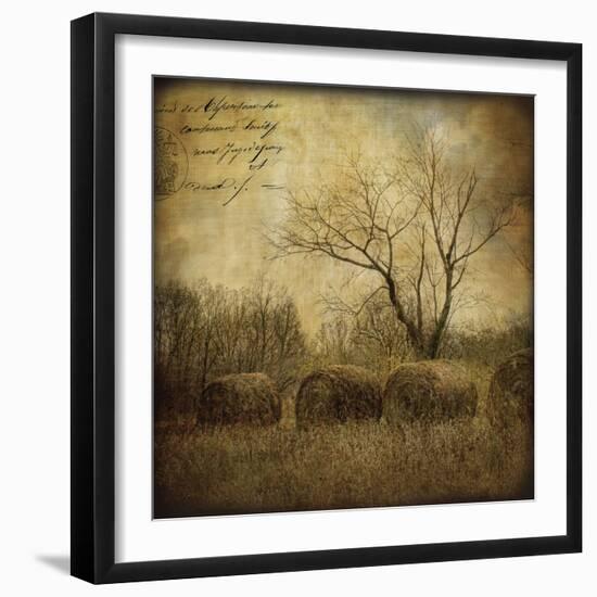 Hayrollers-Dawne Polis-Framed Art Print