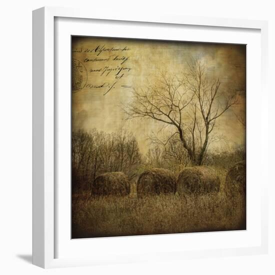 Hayrollers-Dawne Polis-Framed Art Print