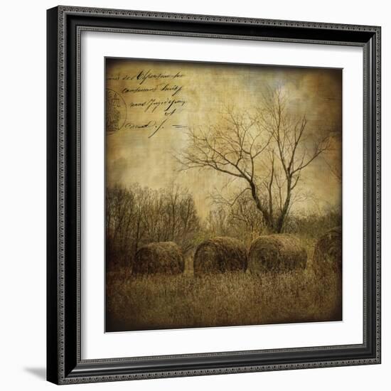 Hayrollers-Dawne Polis-Framed Art Print