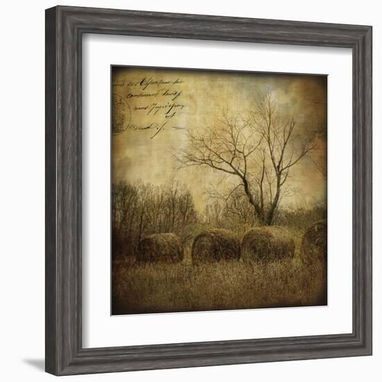 Hayrollers-Dawne Polis-Framed Art Print