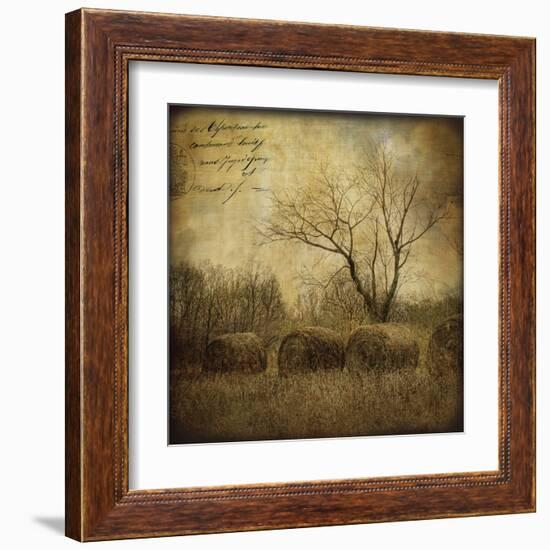 Hayrollers-Dawne Polis-Framed Art Print