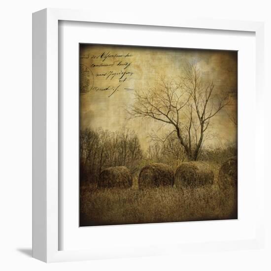 Hayrollers-Dawne Polis-Framed Art Print