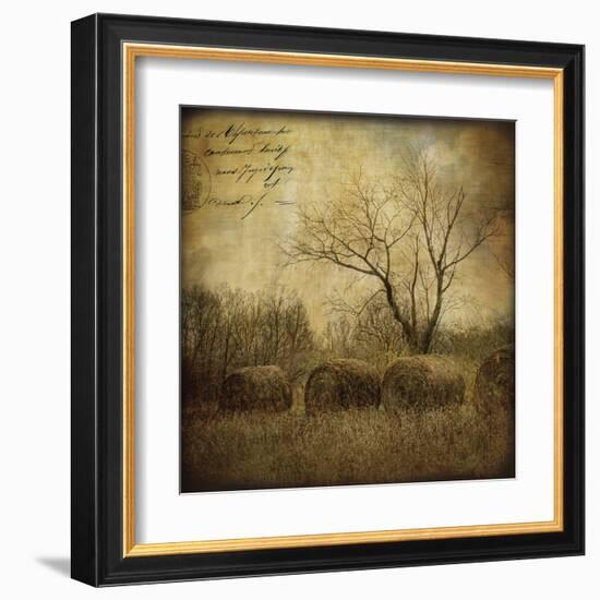 Hayrollers-Dawne Polis-Framed Art Print