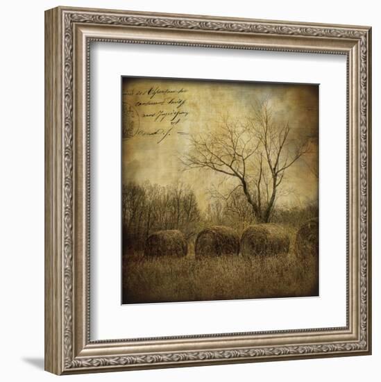 Hayrollers-Dawne Polis-Framed Art Print