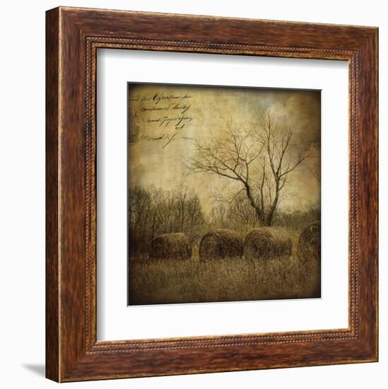 Hayrollers-Dawne Polis-Framed Art Print