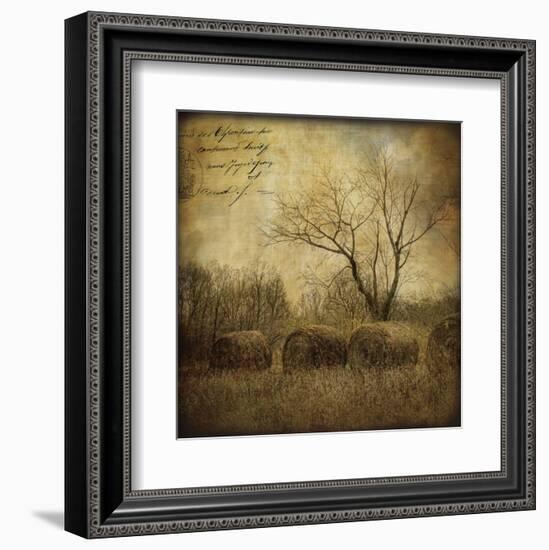 Hayrollers-Dawne Polis-Framed Art Print