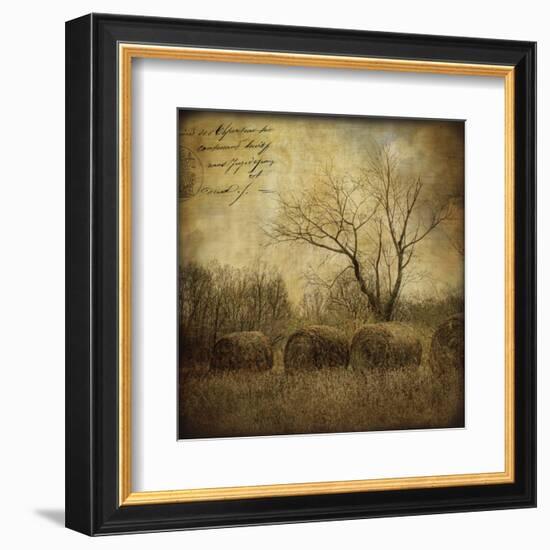 Hayrollers-Dawne Polis-Framed Art Print