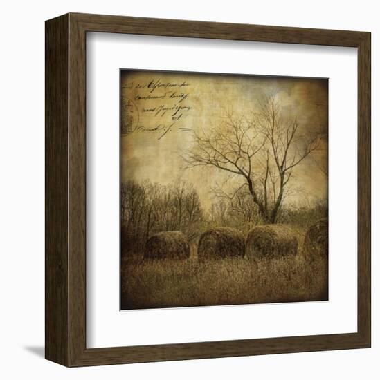 Hayrollers-Dawne Polis-Framed Art Print