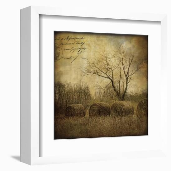 Hayrollers-Dawne Polis-Framed Art Print