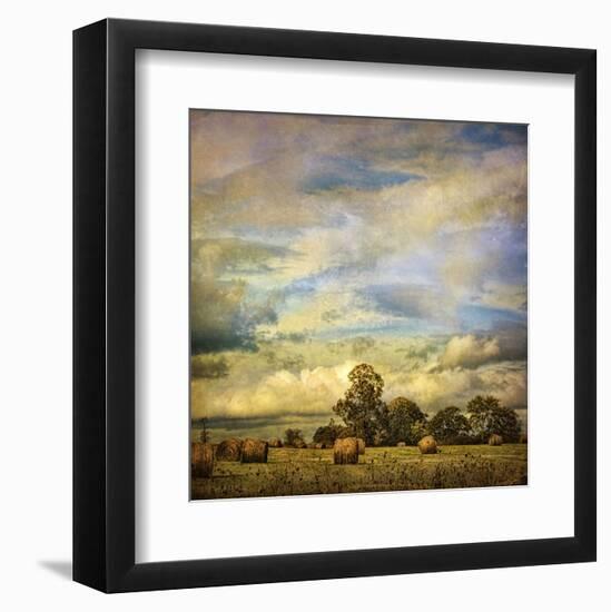 Hayrolls on Sunday-Dawne Polis-Framed Art Print