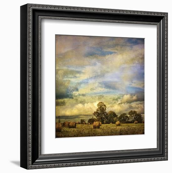 Hayrolls on Sunday-Dawne Polis-Framed Art Print