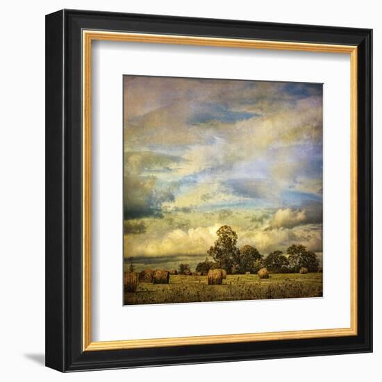 Hayrolls on Sunday-Dawne Polis-Framed Art Print