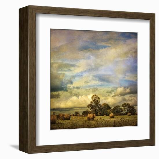 Hayrolls on Sunday-Dawne Polis-Framed Art Print