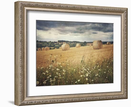 Hayrolls-Dawne Polis-Framed Art Print