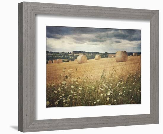 Hayrolls-Dawne Polis-Framed Art Print