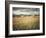 Hayrolls-Dawne Polis-Framed Art Print