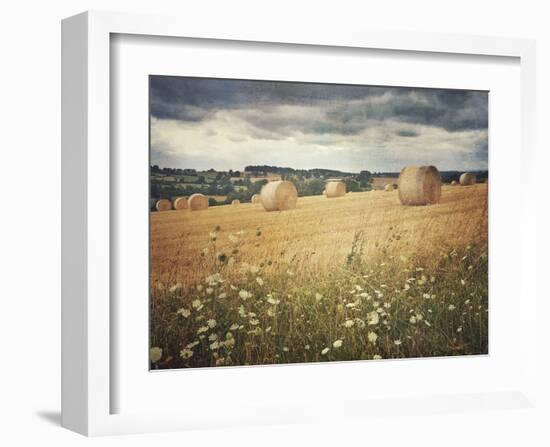 Hayrolls-Dawne Polis-Framed Art Print