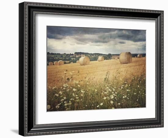 Hayrolls-Dawne Polis-Framed Art Print