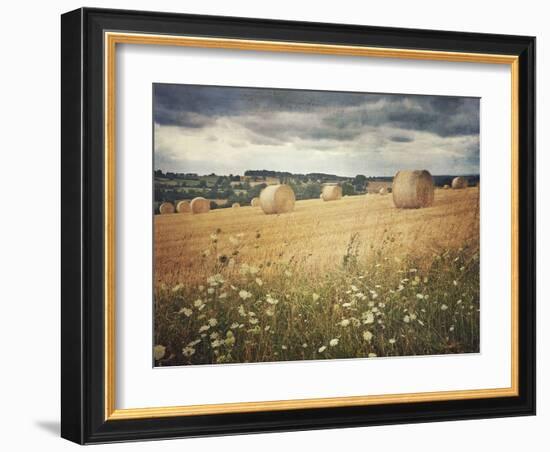 Hayrolls-Dawne Polis-Framed Art Print