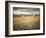 Hayrolls-Dawne Polis-Framed Art Print