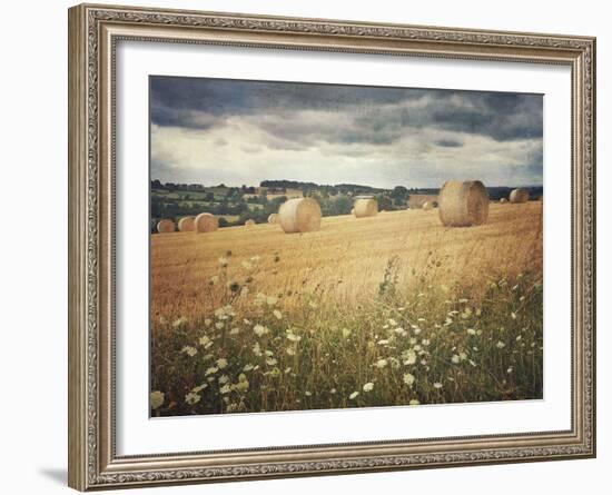 Hayrolls-Dawne Polis-Framed Art Print