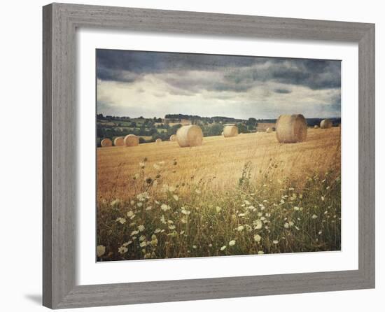 Hayrolls-Dawne Polis-Framed Art Print