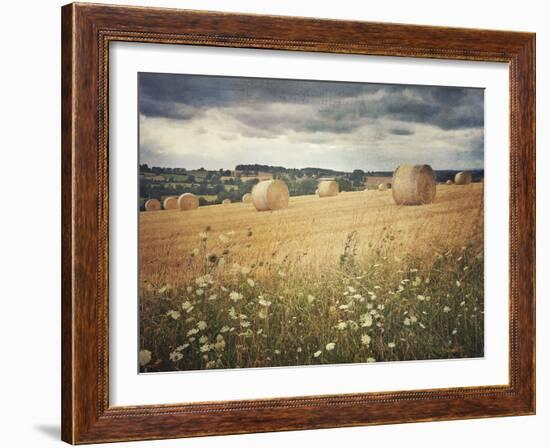 Hayrolls-Dawne Polis-Framed Art Print