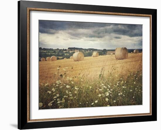 Hayrolls-Dawne Polis-Framed Art Print