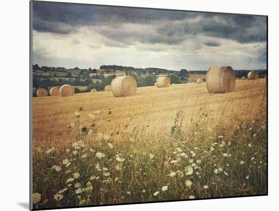 Hayrolls-Dawne Polis-Mounted Art Print