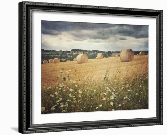 Hayrolls-Dawne Polis-Framed Art Print