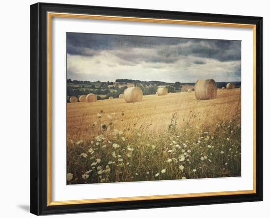 Hayrolls-Dawne Polis-Framed Art Print