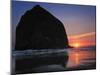 Haystack Rock and Birds-Jody Miller-Mounted Photographic Print