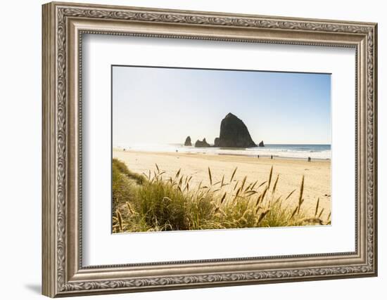 Haystack Rock and The Needles, with Gynerium spikes in the foreground, Cannon Beach-francesco vaninetti-Framed Photographic Print