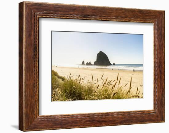 Haystack Rock and The Needles, with Gynerium spikes in the foreground, Cannon Beach-francesco vaninetti-Framed Photographic Print