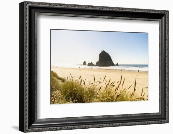 Haystack Rock and The Needles, with Gynerium spikes in the foreground, Cannon Beach-francesco vaninetti-Framed Photographic Print