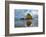 Haystack Rock at Dawn, Cannon Beach, Oregon, USA-Chuck Haney-Framed Photographic Print