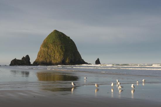 Haystack Rock On Cannon Beach Oregon Premium Photographic Print Haystack Rock On Cannon Beach Oregon